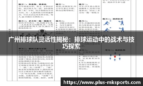 广州排球队灵活性揭秘：排球运动中的战术与技巧探索