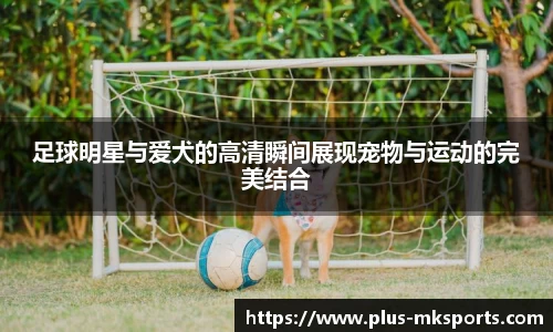 足球明星与爱犬的高清瞬间展现宠物与运动的完美结合